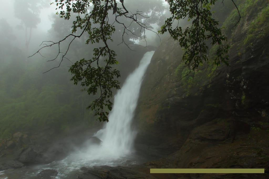 Wayanad Gate Resort 마난타바디 외부 사진