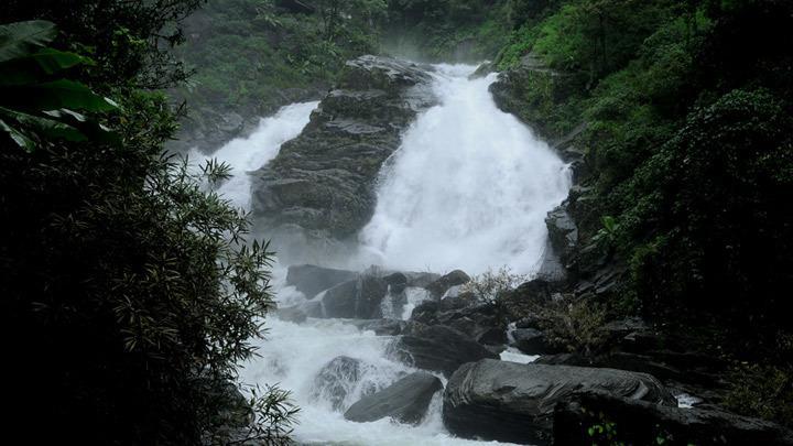 Wayanad Gate Resort 마난타바디 외부 사진