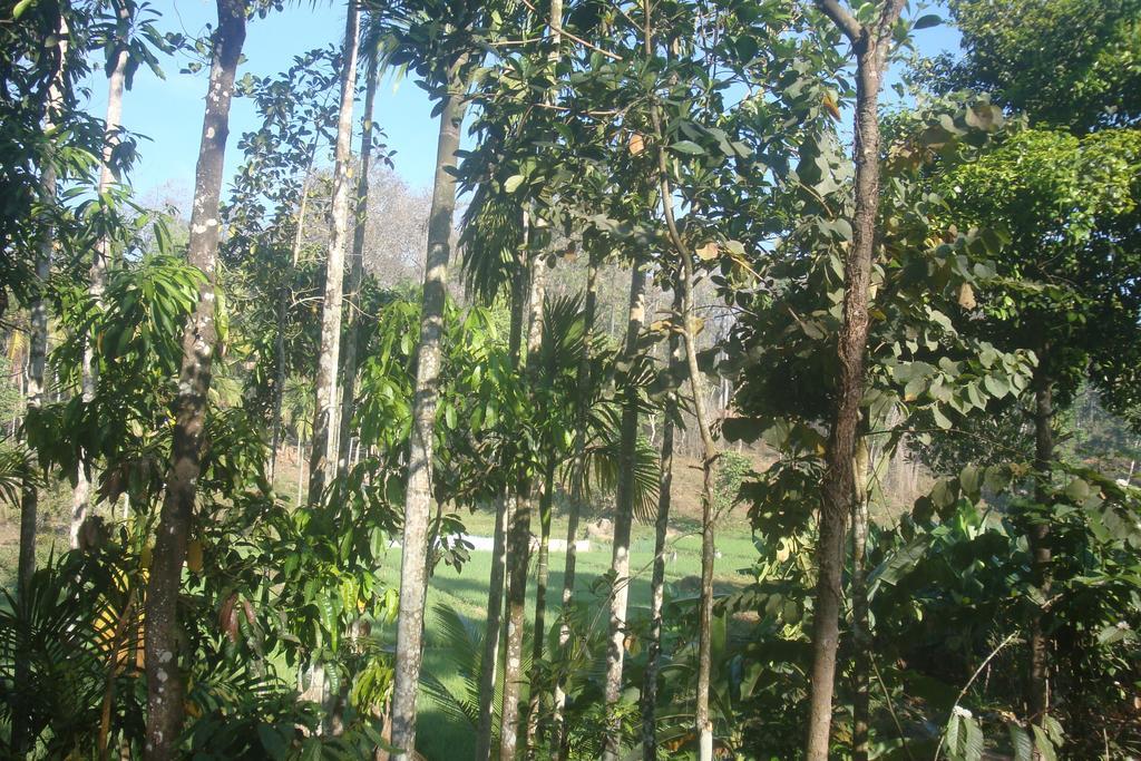 Wayanad Gate Resort 마난타바디 외부 사진
