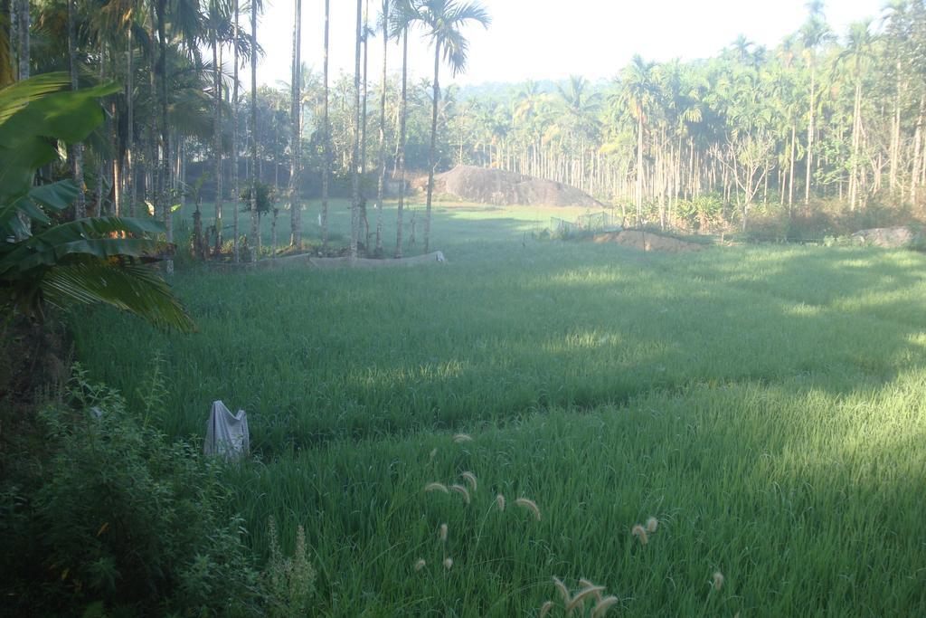 Wayanad Gate Resort 마난타바디 외부 사진
