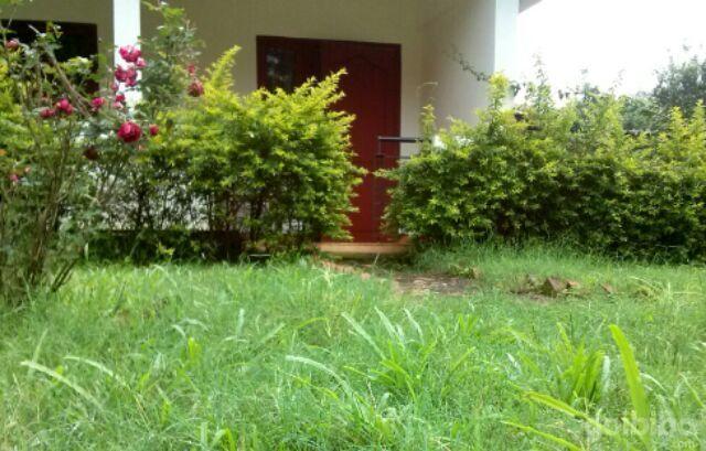 Wayanad Gate Resort 마난타바디 외부 사진